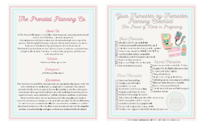Trimester-By-Trimester Pregnancy Checklist (Digital Download)